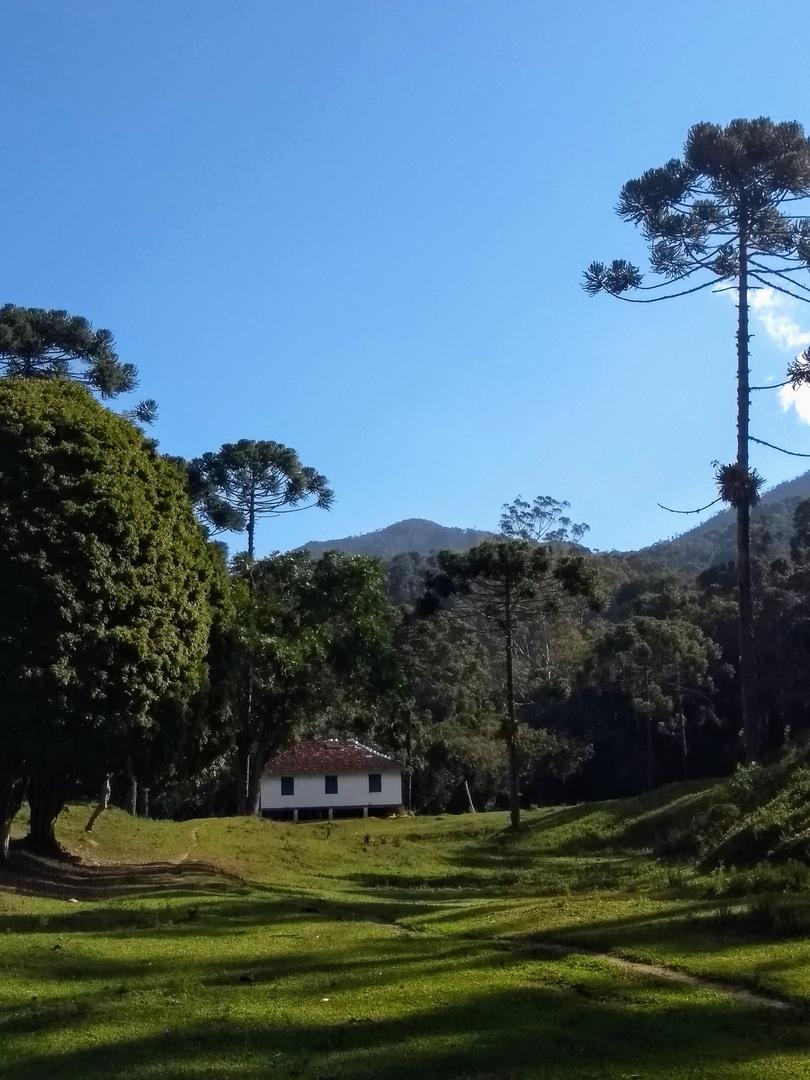 Não vai tirar a minha PAZ!! 